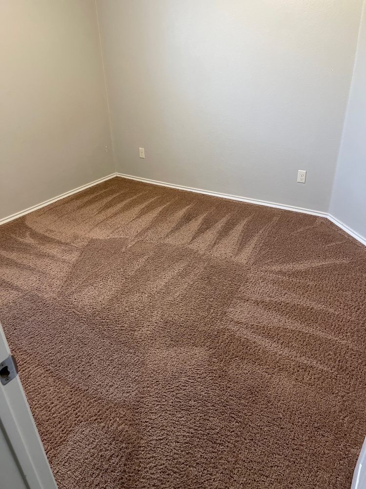 Bedroom carpet restoration (real job)