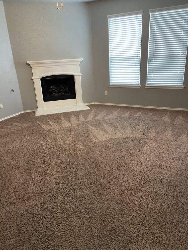 Living room carpet — freshly groomed (real job)